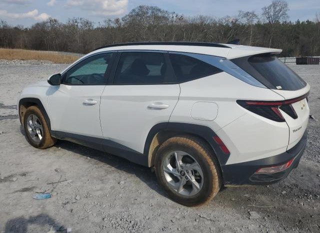 
								2023 HYUNDAI TUCSON, SEL 5NMJBCAE2PH223838 full									