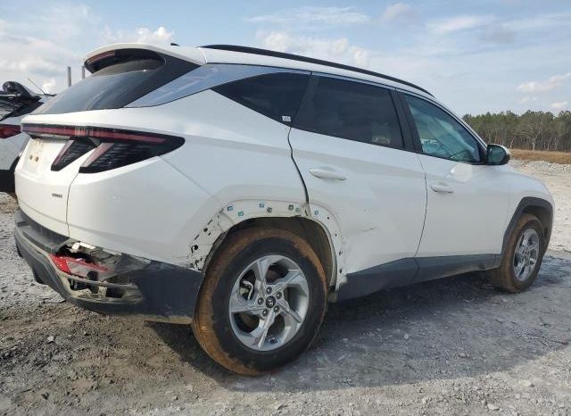 
								2023 HYUNDAI TUCSON, SEL 5NMJBCAE2PH223838 full									