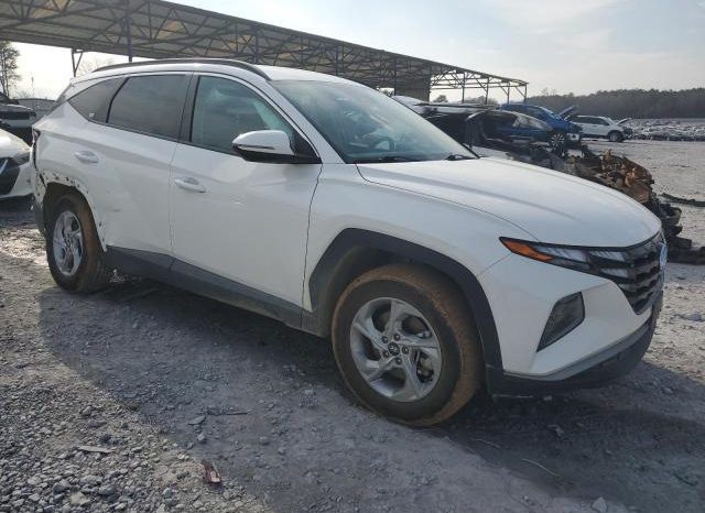 
								2023 HYUNDAI TUCSON, SEL 5NMJBCAE2PH223838 full									