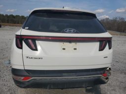 
										2023 HYUNDAI TUCSON, SEL 5NMJBCAE2PH223838 full									