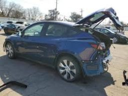 TESLA y 2023 7SAYGDEE6PF809768