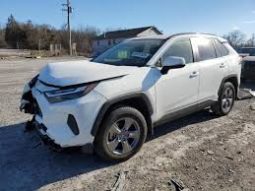 
										2024 TOYOTA RAV4, XLE JTMRWRFV6RD232699 full									