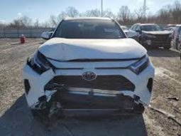 
										2024 TOYOTA RAV4, XLE JTMRWRFV6RD232699 full									